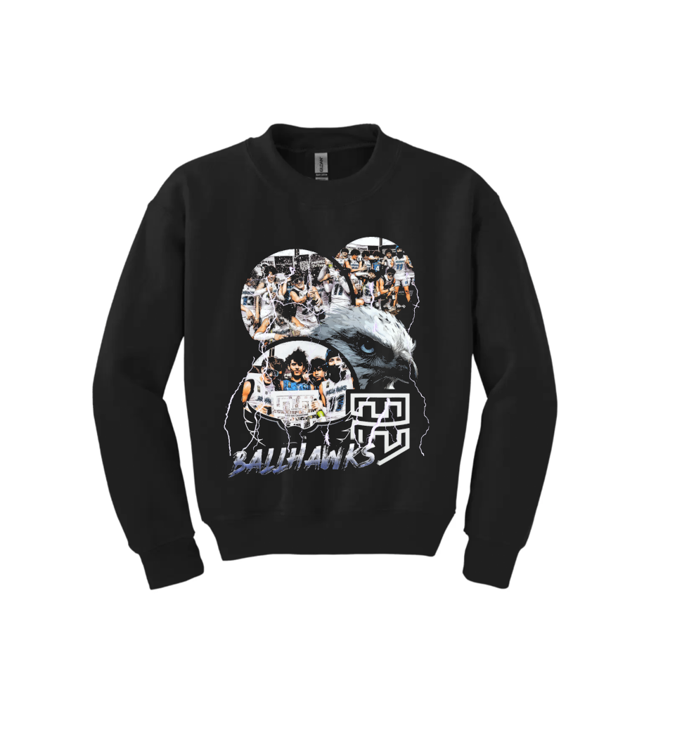 BALLHWKS CHAMPANGE YOUTH CREWNECK