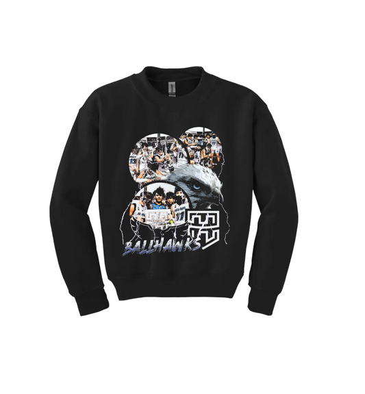 BALLHWKS CHAMPANGE YOUTH CREWNECK